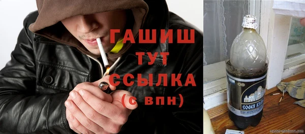 ПСИЛОЦИБИНОВЫЕ ГРИБЫ Гусев