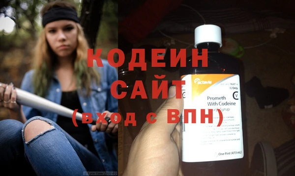 амф Гусиноозёрск