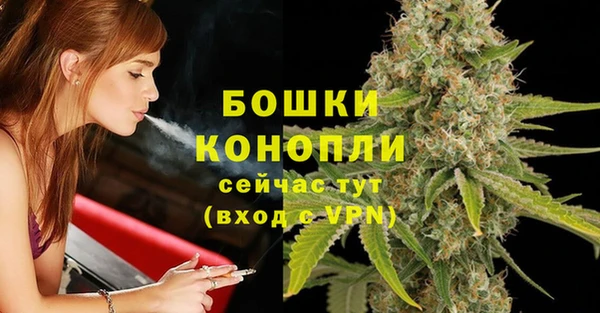 ПСИЛОЦИБИНОВЫЕ ГРИБЫ Гусев