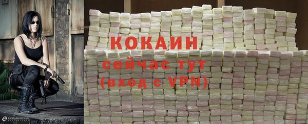 spice Гусь-Хрустальный