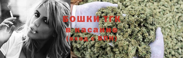 амф Гусиноозёрск