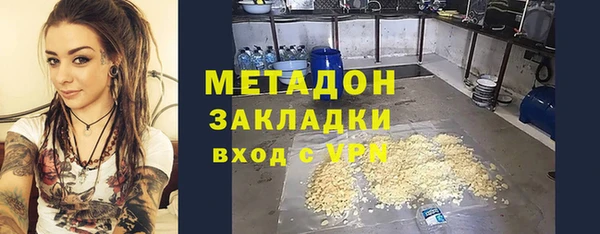 ПСИЛОЦИБИНОВЫЕ ГРИБЫ Гусев