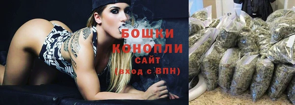 spice Гусь-Хрустальный