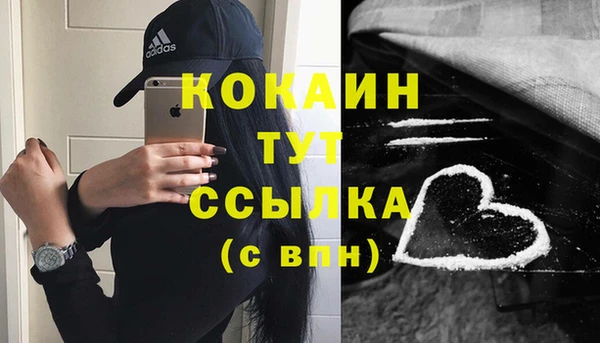 ПСИЛОЦИБИНОВЫЕ ГРИБЫ Гусев