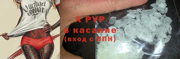 амф Гусиноозёрск