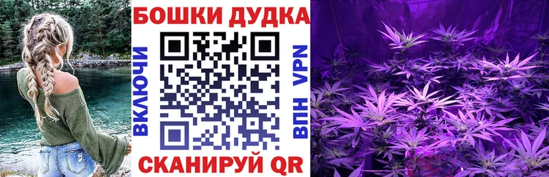 Купить закладки  Тобольск  Бошки Шишки семена 